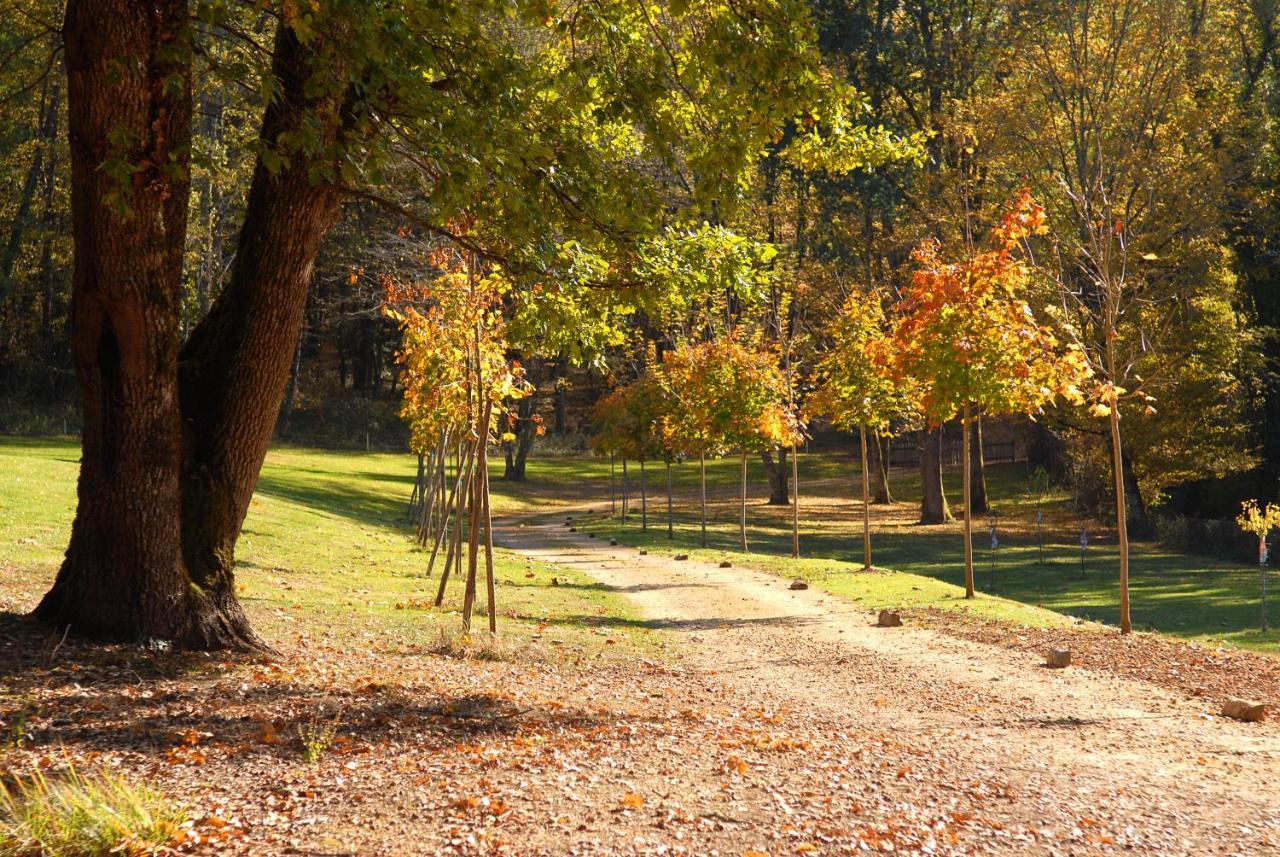 دوم Le Manoir Du Rocher المظهر الخارجي الصورة
